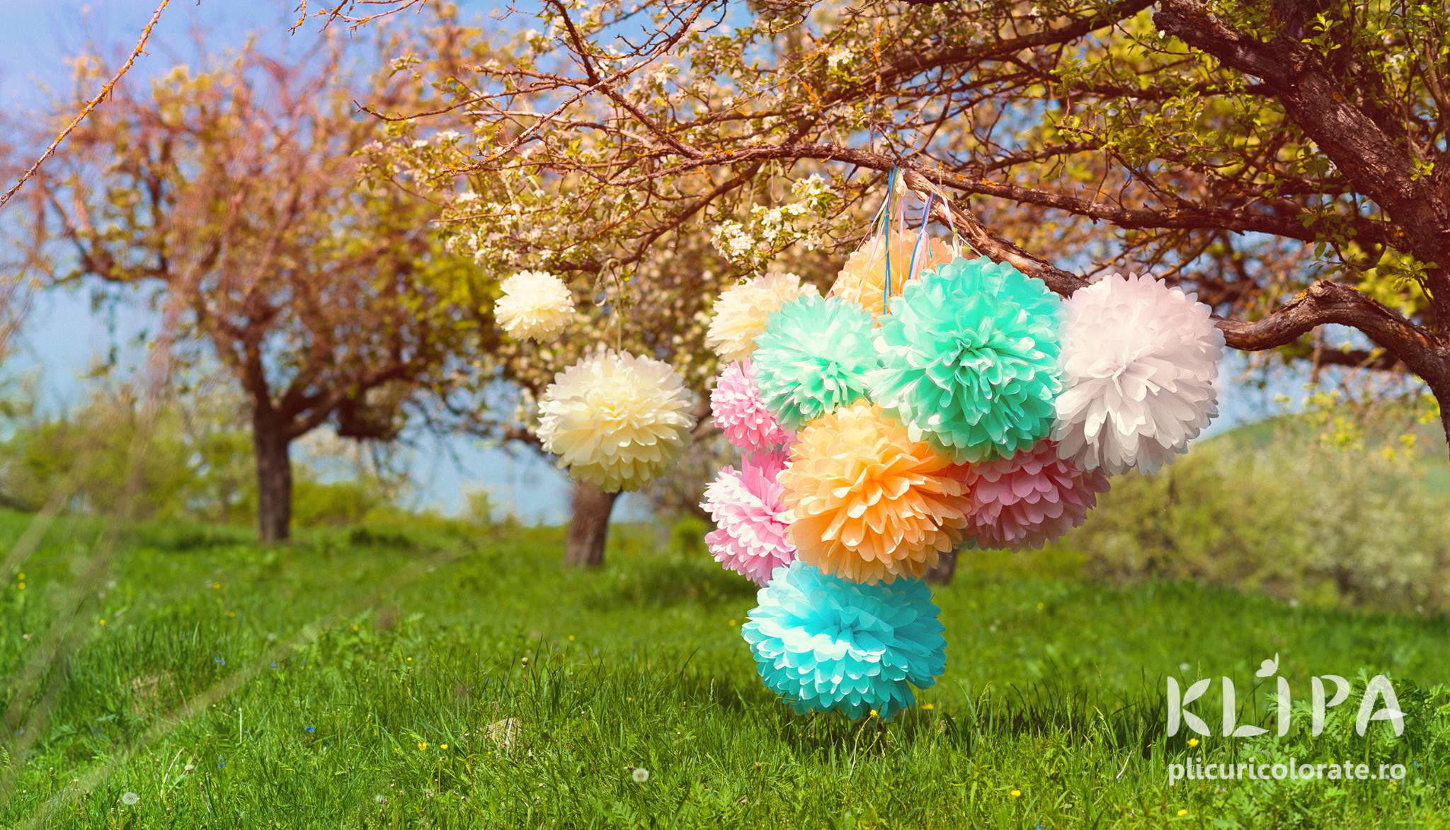 pompoms din hartie de matase