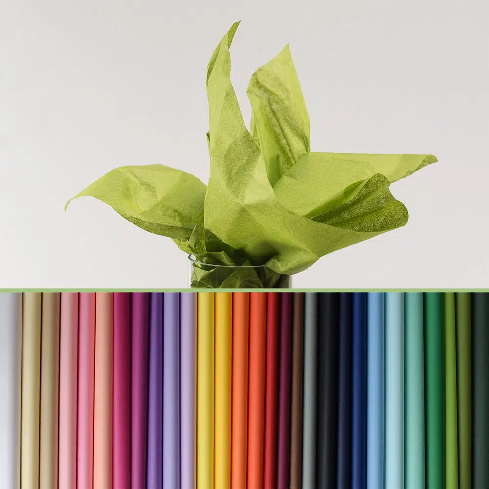 Green crumpled-paper bouquet in a glass vase above a row of colorful pencils arranged by hue on a white background.